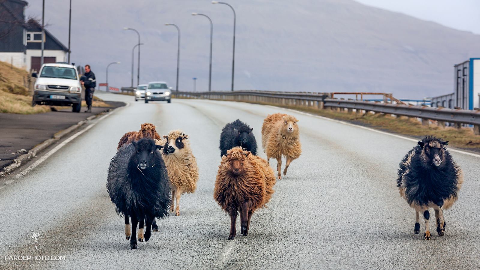 Kollafjørður, Faroe Islands..jpg